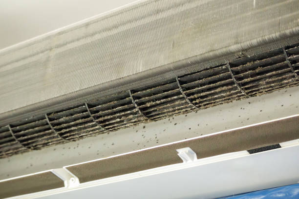 Best Affordable Air Duct Cleaning  in Minnehaha, WA